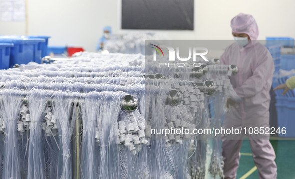 Workers are making medical infusion sets for export at a workshop in Huai'an City, Jiangsu Province, China, on December 14, 2023. 