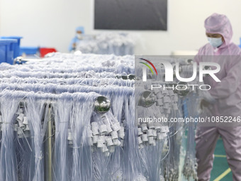 Workers are making medical infusion sets for export at a workshop in Huai'an City, Jiangsu Province, China, on December 14, 2023. (