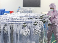 Workers are making medical infusion sets for export at a workshop in Huai'an City, Jiangsu Province, China, on December 14, 2023. (