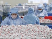 Workers are making medical infusion sets for export in a workshop in Huai'an City, Jiangsu Province, China, on December 14, 2023. (