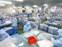 Workers are making medical infusion sets for export at a workshop in Huai'an City, Jiangsu Province, China, on December 14, 2023. (