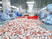 Workers are making medical infusion sets for export in a workshop in Huai'an City, Jiangsu Province, China, on December 14, 2023. (