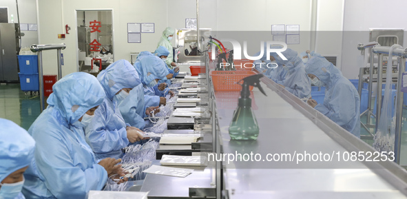 Workers are making medical infusion sets for export in a workshop in Huai'an City, Jiangsu Province, China, on December 14, 2023. 