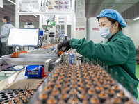 A worker is producing motor products at a motor production workshop in Nantong, Jiangsu Province, China, on December 15, 2023. (