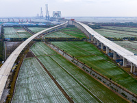 Builders are working in the snow at the construction site of the Changtai Yangtze River Bridge in Taixing, Jiangsu Province, East China, on...