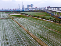 Builders are working in the snow at the construction site of the Changtai Yangtze River Bridge in Taixing, Jiangsu Province, East China, on...