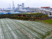 Builders are working in the snow at the construction site of the Changtai Yangtze River Bridge in Taixing, Jiangsu Province, East China, on...