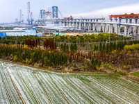 Builders are working in the snow at the construction site of the Changtai Yangtze River Bridge in Taixing, Jiangsu Province, East China, on...