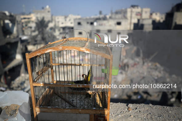 Palestinians are gathering amid the rubble of destroyed buildings following an Israeli bombardment in Deir El-Balah, in the central Gaza Str...