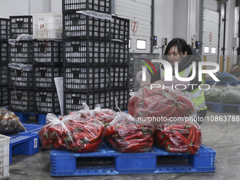 Workers are sorting materials at a warehouse in Huai'an City, Jiangsu Province, China, on December 19, 2023. (