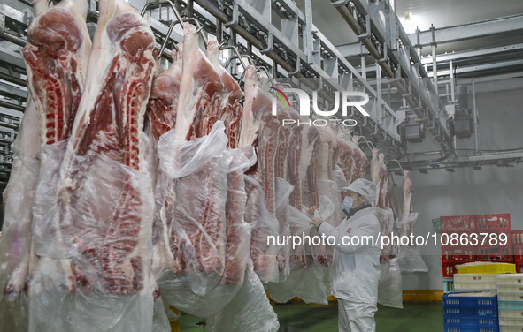 Workers are sorting materials at a warehouse in Huai'an City, Jiangsu Province, China, on December 19, 2023. 