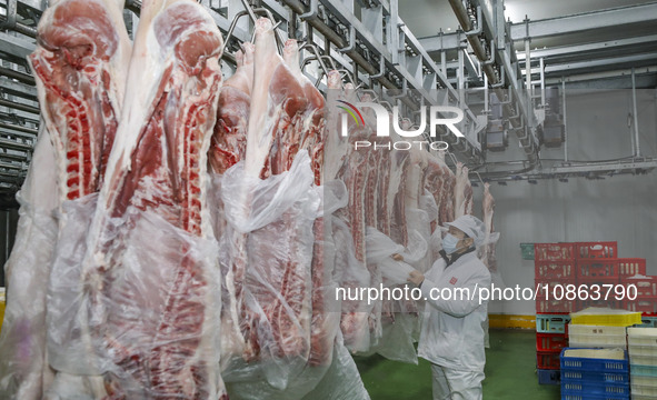 Workers are sorting materials at a warehouse in Huai'an City, Jiangsu Province, China, on December 19, 2023. 