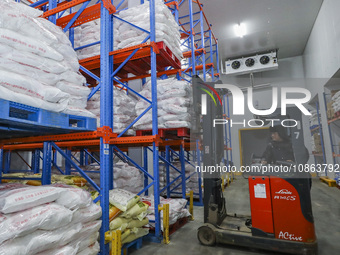 Workers are sorting materials at a warehouse in Huai'an City, Jiangsu Province, China, on December 19, 2023. (