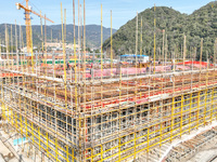 Workers are braving the cold at the construction site of the second phase of the Fuxi Street project in Moganshan town, Deqing County, Huzho...