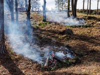 CalFire is managing a prescribed burn in Northern California on December 21, 2023. Prescribed burning is the controlled application of fire...