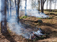 CalFire is managing a prescribed burn in Northern California on December 21, 2023. Prescribed burning is the controlled application of fire...