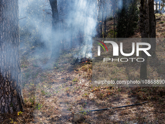 CalFire is managing a prescribed burn in Northern California on December 21, 2023. Prescribed burning is the controlled application of fire...