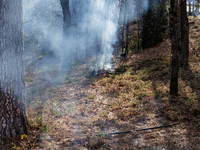 CalFire is managing a prescribed burn in Northern California on December 21, 2023. Prescribed burning is the controlled application of fire...