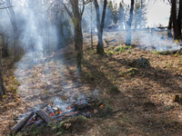 CalFire is managing a prescribed burn in Northern California on December 21, 2023. Prescribed burning is the controlled application of fire...