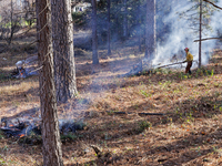 CalFire is managing a prescribed burn in Northern California on December 21, 2023. Prescribed burning is the controlled application of fire...