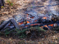 CalFire is managing a prescribed burn in Northern California on December 21, 2023. Prescribed burning is the controlled application of fire...