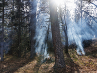 CalFire is managing a prescribed burn in Northern California on December 21, 2023. Prescribed burning is the controlled application of fire...