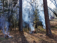 CalFire is managing a prescribed burn in Northern California on December 21, 2023. Prescribed burning is the controlled application of fire...