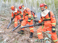 Forest firefighters are conducting a fire prevention and emergency response drill in Dayao village, Moganshan town, Huzhou city, Zhejiang pr...