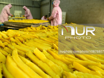 A worker is preparing sweet potato sticks to dry in an oven in Zaozhuang, Shandong Province, East China, on December 27, 2023. (