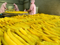 A worker is preparing sweet potato sticks to dry in an oven in Zaozhuang, Shandong Province, East China, on December 27, 2023. (