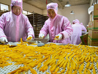 A worker is preparing sweet potato sticks to dry in an oven in Zaozhuang, Shandong Province, East China, on December 27, 2023. (