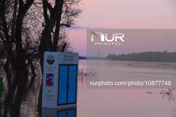 A public bookshelf is submerged on the bank of the Danube as a wave of floods is expected on the river, in Budapest, Hungary, on December 28...