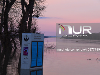 A public bookshelf is submerged on the bank of the Danube as a wave of floods is expected on the river, in Budapest, Hungary, on December 28...