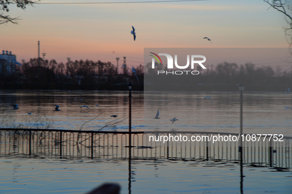 Birds are flying over the Danube as a wave of floods is expected on the river, in Budapest, Hungary, on December 28, 2023.  