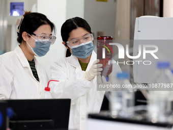 Researchers are researching and developing chemical products at a laboratory of a private chemical company in Xiwangzhuang town, Zaozhuang c...