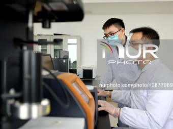 Two graduate students are analyzing data on biodegradable materials at a private enterprise laboratory in Xiwangzhuang town, Zaozhuang, Chin...