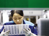 A worker is working on the production line of an electronic components company in Suqian, Jiangsu Province, China, on December 29, 2023. (