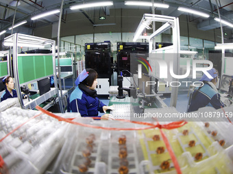 A worker is working on the production line of an electronic components company in Suqian, Jiangsu Province, China, on December 29, 2023. (