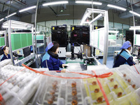 A worker is working on the production line of an electronic components company in Suqian, Jiangsu Province, China, on December 29, 2023. (