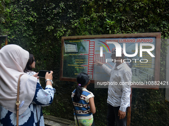 A guide is accompanying tourists as they visit the Japanese tunnel, also known as Lobang Jepang, at the historical tourist attraction in Buk...