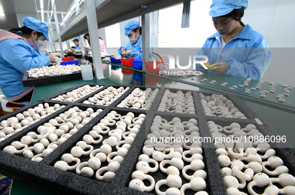 A worker is working on a production line of Bluetooth headsets at an audio equipment manufacturing company in Handan, Hebei Province, China,...