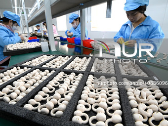 A worker is working on a production line of Bluetooth headsets at an audio equipment manufacturing company in Handan, Hebei Province, China,...