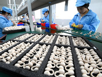 A worker is working on a production line of Bluetooth headsets at an audio equipment manufacturing company in Handan, Hebei Province, China,...