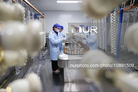 Workers are working in a production workshop of a bottle cap company in Tashan town, Ganyu district, Lianyungang city, Jiangsu province, Eas...