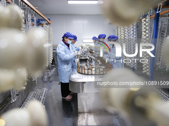 Workers are working in a production workshop of a bottle cap company in Tashan town, Ganyu district, Lianyungang city, Jiangsu province, Eas...