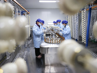 Workers are working in a production workshop of a bottle cap company in Tashan town, Ganyu district, Lianyungang city, Jiangsu province, Eas...