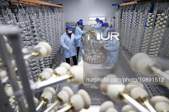 Workers are working in a production workshop of a bottle cap company in Tashan town, Ganyu district, Lianyungang city, Jiangsu province, Eas...