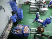 Workers are producing fish products at a workshop of a natural food company in Zixing, China, on January 4, 2024. (