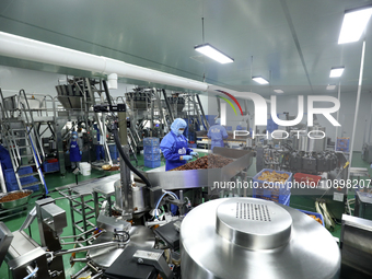 Workers are producing fish products at a workshop of a natural food company in Zixing, China, on January 4, 2024. (