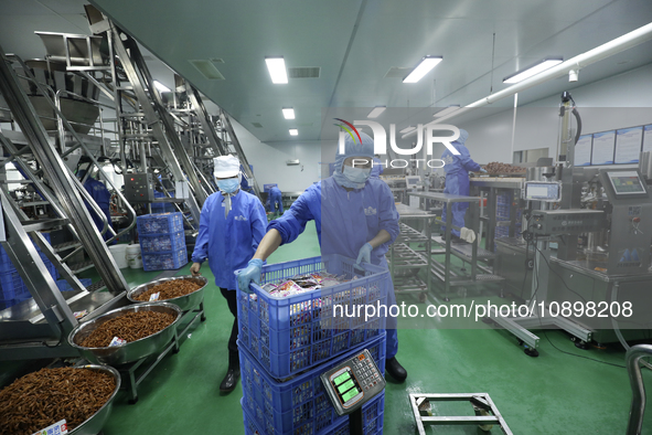 Workers are producing fish products at a workshop of a natural food company in Zixing, China, on January 4, 2024. 